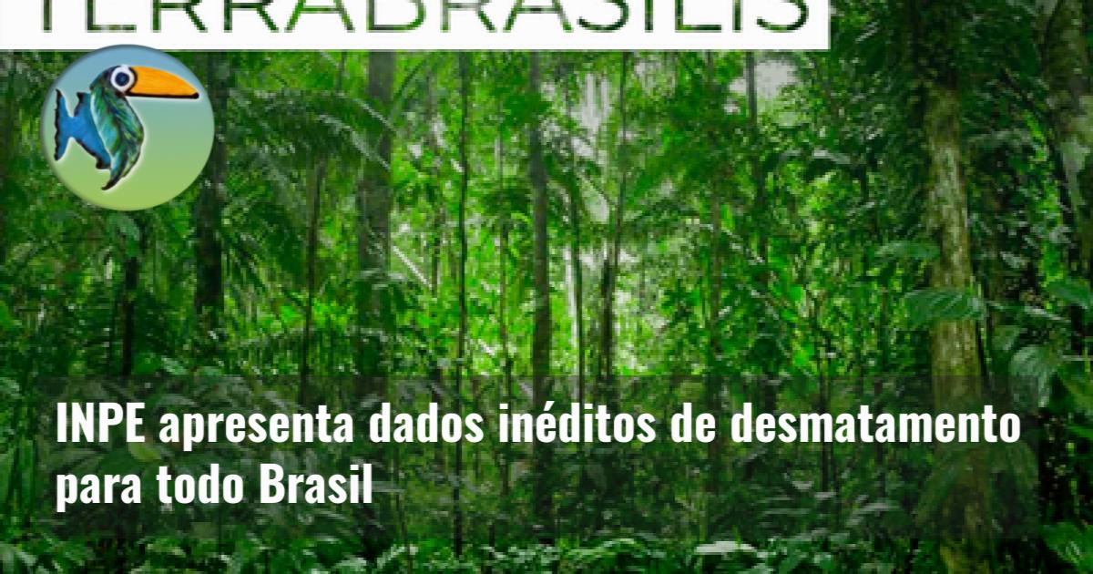 Inpe Apresenta Dados Inéditos De Desmatamento Para Todo Brasil Ecoamazônia