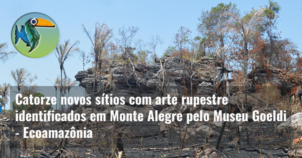 Catorze novos sítios com arte rupestre identificados em Monte Alegre pelo Museu Goeldi