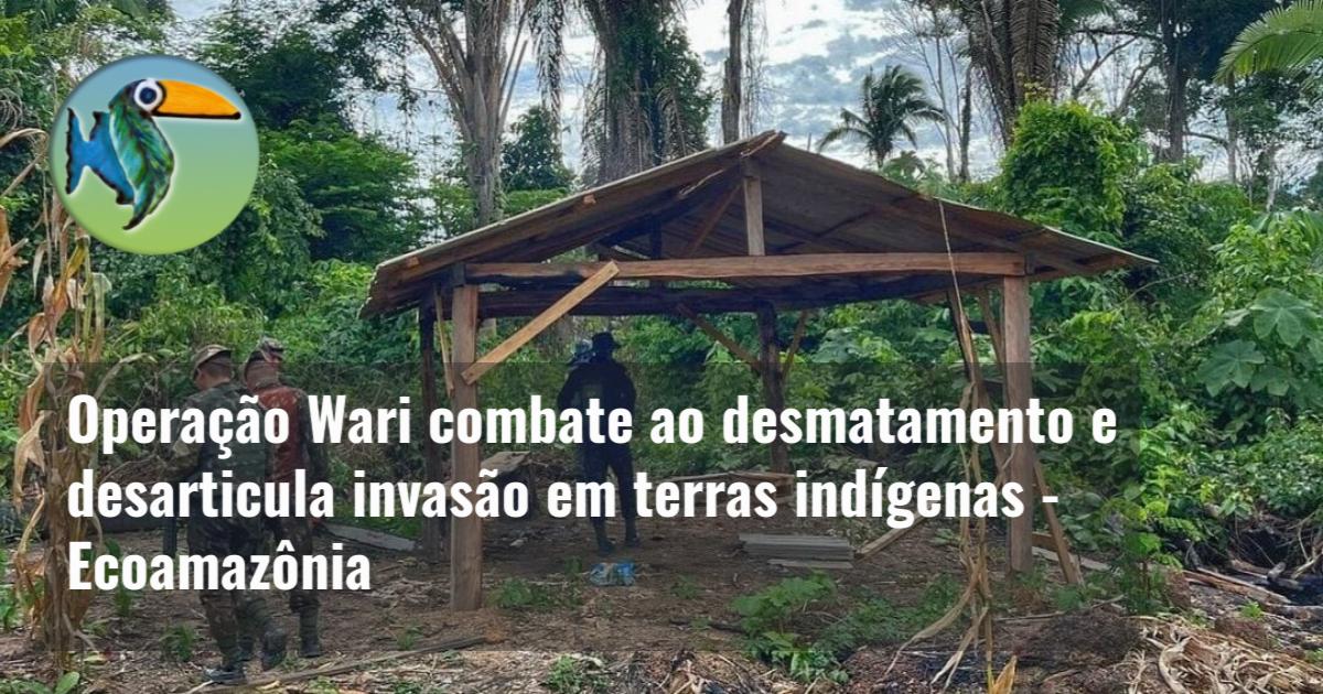 Operação Wari combate ao desmatamento e desarticula invasão em terras indígenas