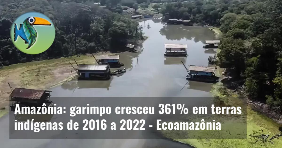Amazônia: garimpo cresceu 361% em terras indígenas de 2016 a 2022