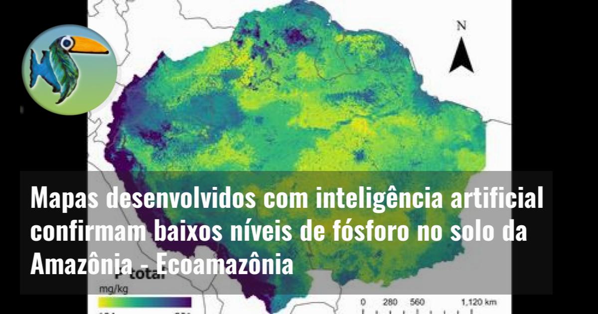 Mapas desenvolvidos com inteligência artificial confirmam baixos níveis de fósforo no solo da Amazônia