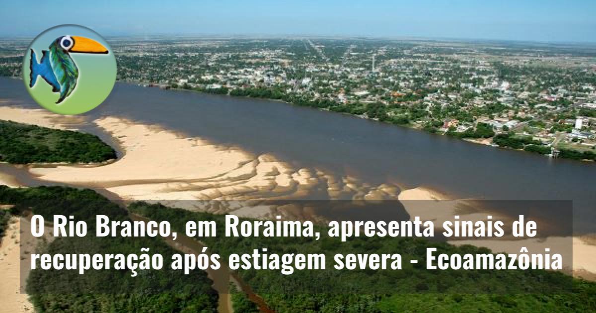 O Rio Branco, em Roraima, apresenta sinais de recuperação após estiagem severa