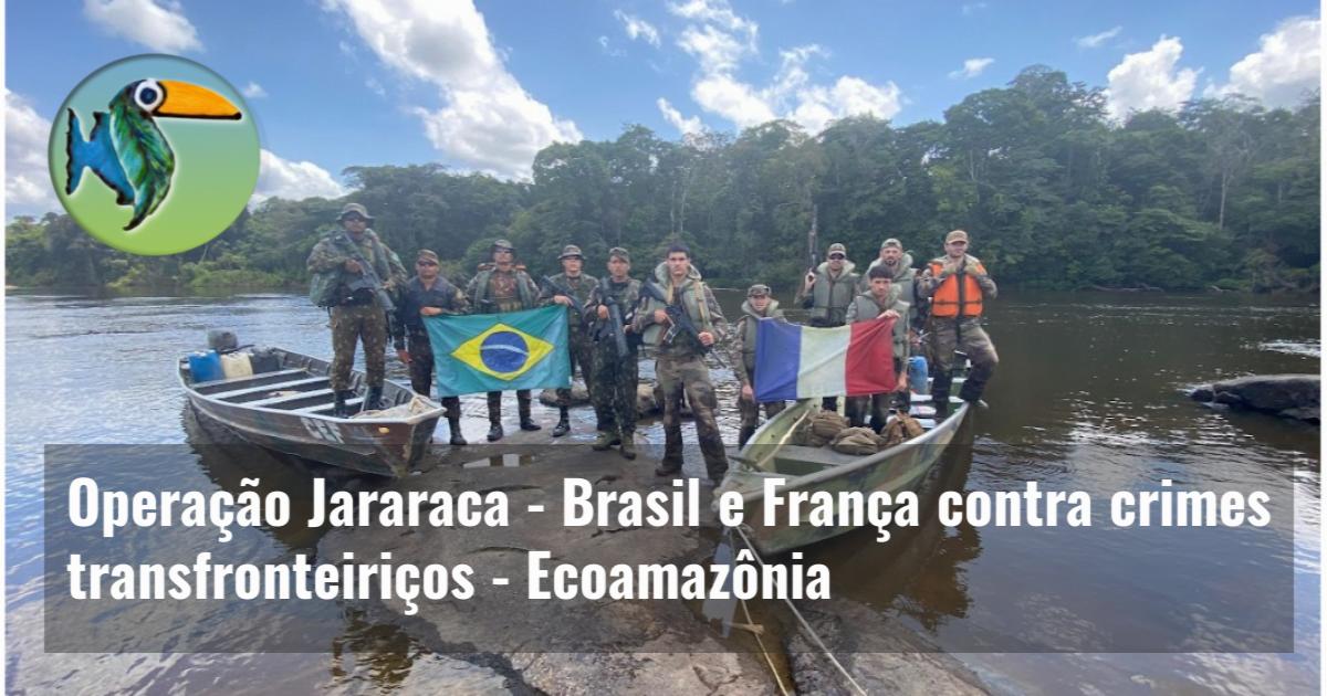 Operação Jararaca – Brasil e França contra crimes transfronteiriços