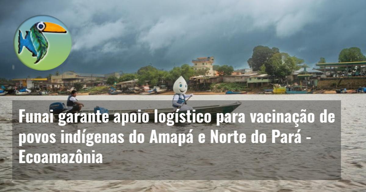 Funai garante apoio logístico para vacinação de povos indígenas do Amapá e Norte do Pará