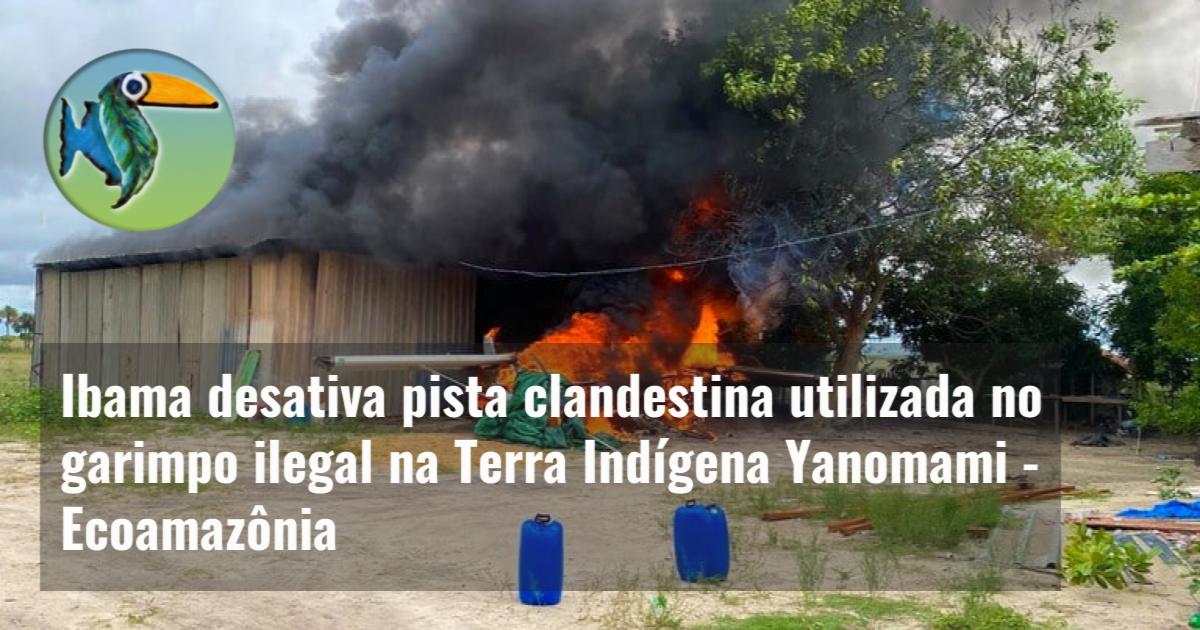 Ibama desativa pista clandestina utilizada no garimpo ilegal na Terra Indígena Yanomami