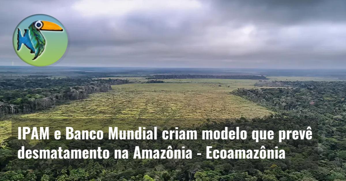 IPAM e Banco Mundial criam modelo que prevê desmatamento na Amazônia