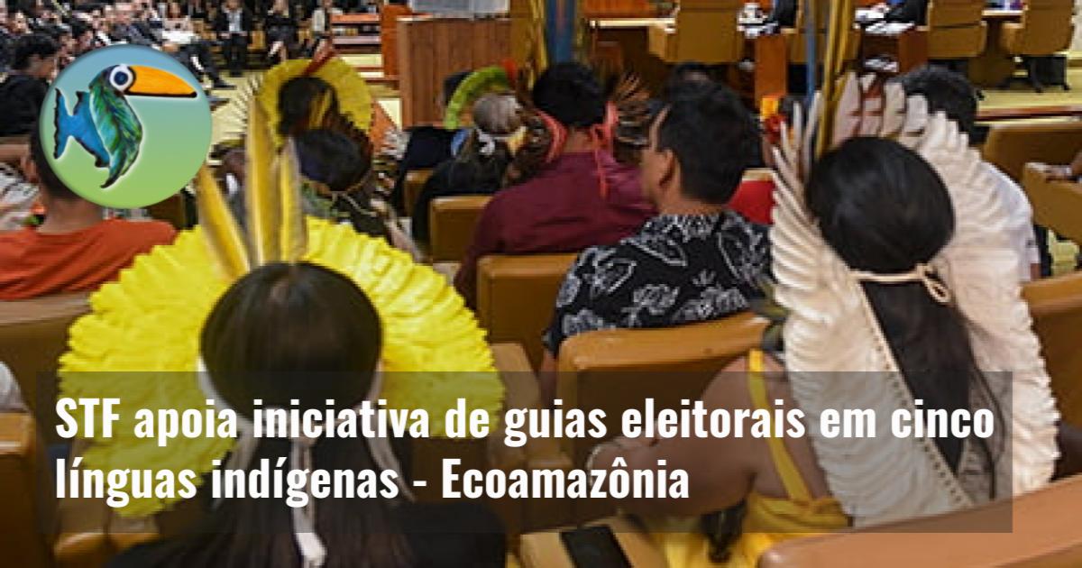 STF apoia iniciativa de guias eleitorais em cinco línguas indígenas
