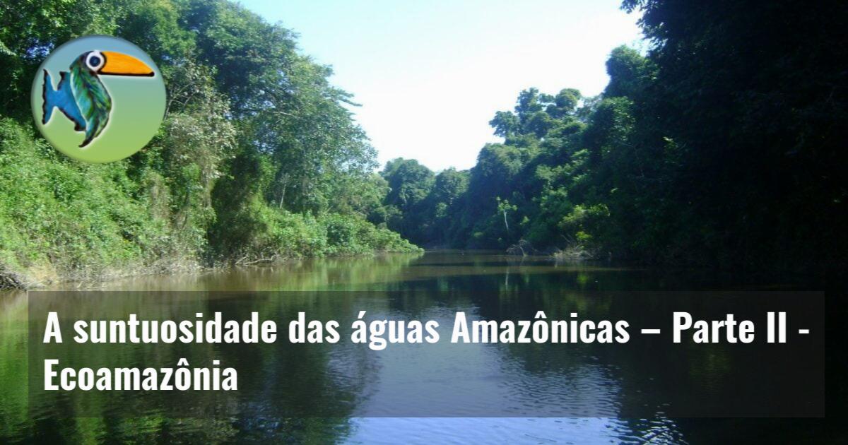 A suntuosidade das águas Amazônicas – Parte II