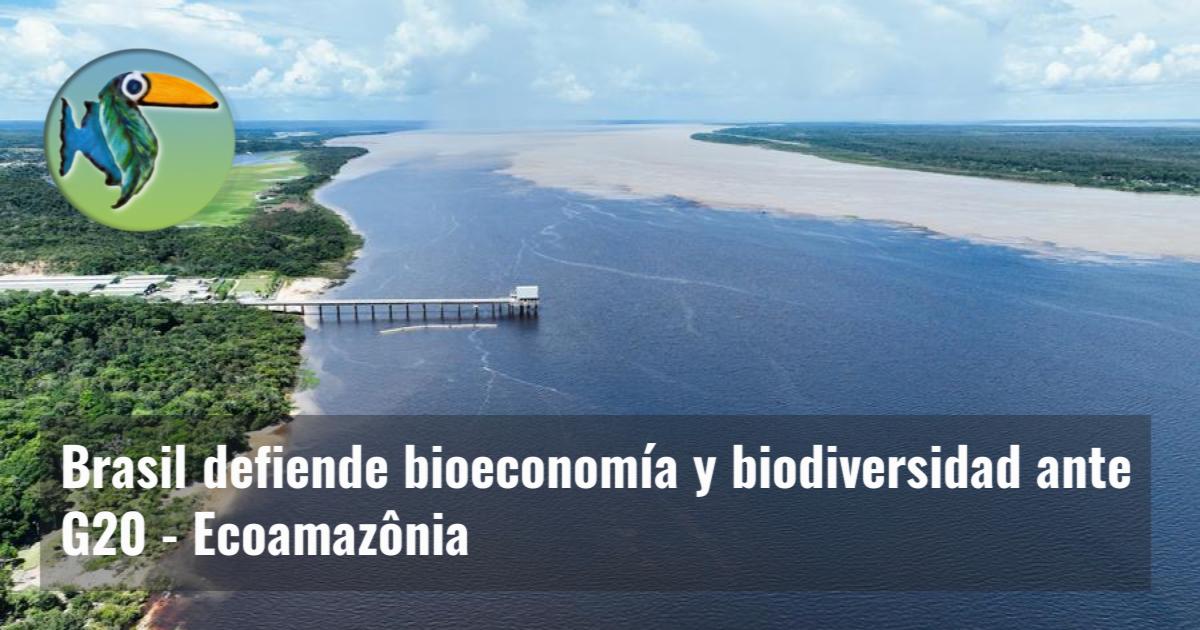 Brasil defiende bioeconomía y biodiversidad ante G20