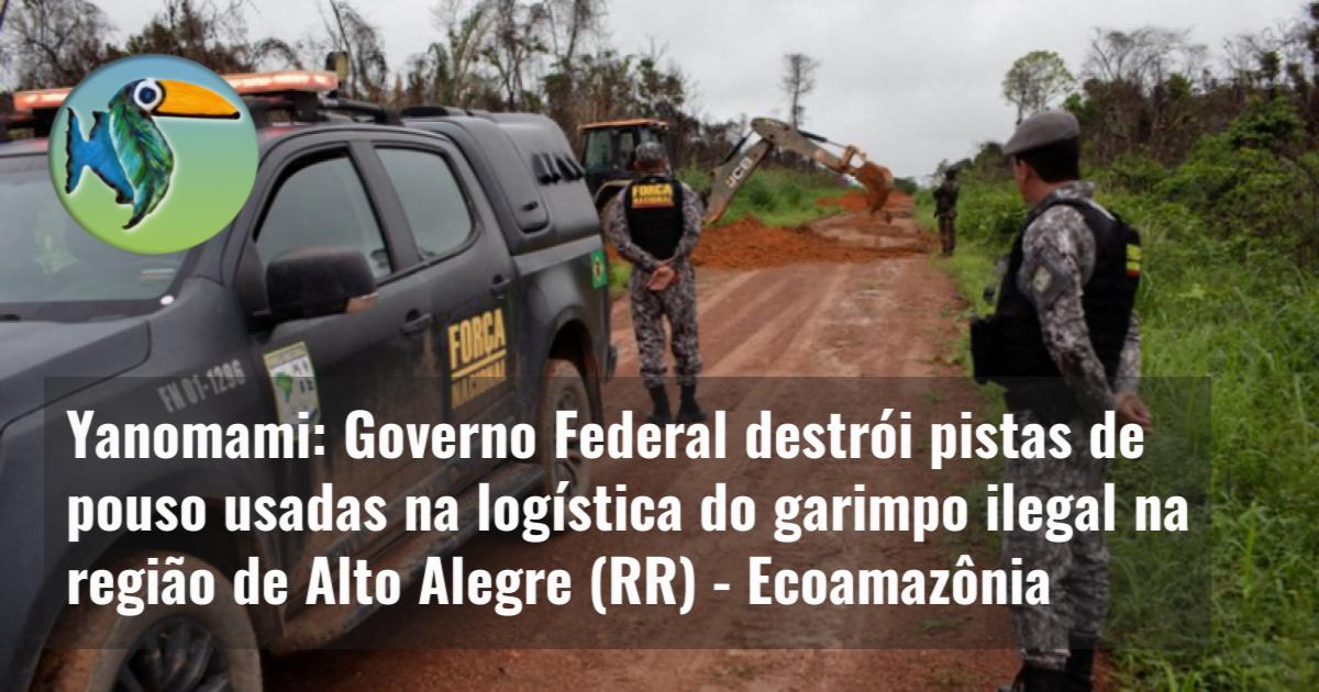 Yanomami: Governo Federal destrói pistas de pouso usadas na logística do garimpo ilegal na região de Alto Alegre (RR)