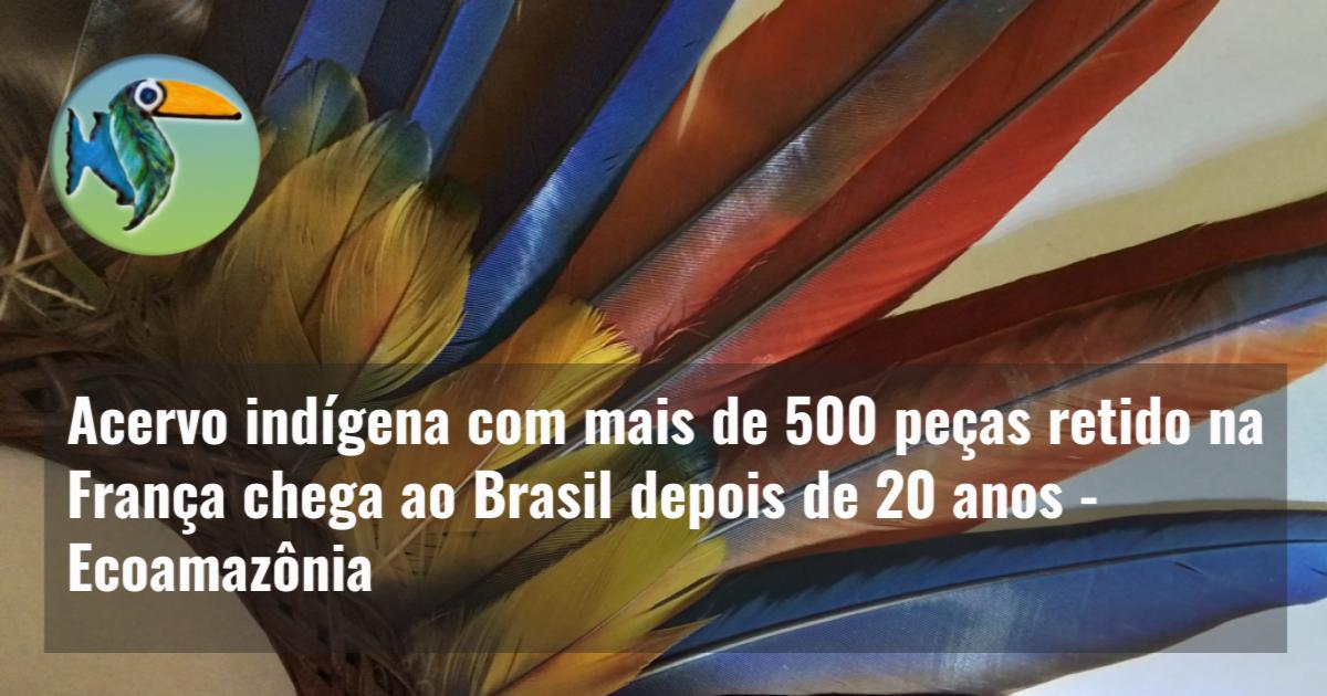 Acervo indígena com mais de 500 peças retido na França chega ao Brasil depois de 20 anos