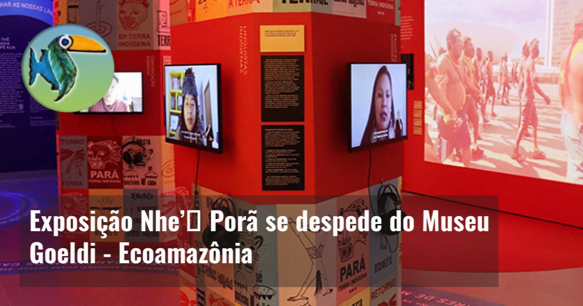 Exposição Nhe’ẽ Porã se despede do Museu Goeldi