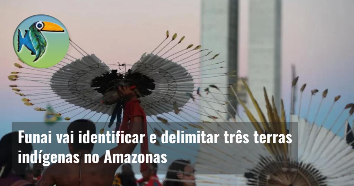 Funai vai identificar e delimitar três terras indígenas no Amazonas