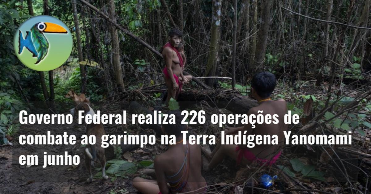 Governo Federal realiza 226 operações de combate ao garimpo na Terra Indígena Yanomami em junho