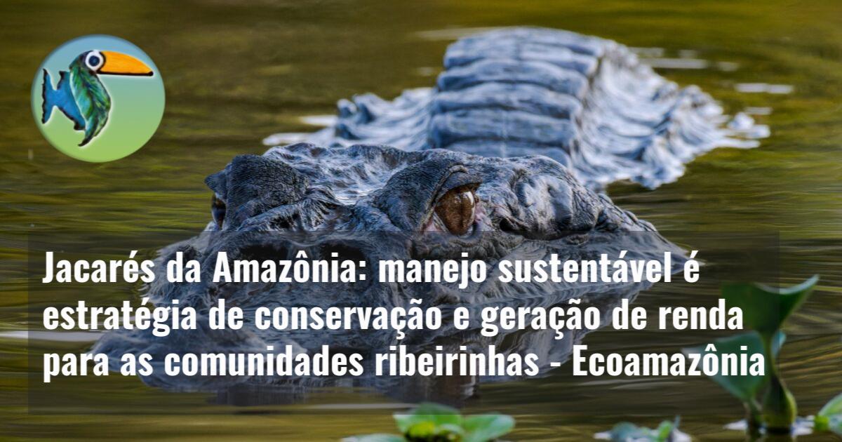 Jacarés da Amazônia: manejo sustentável é estratégia de conservação e geração de renda para as comunidades ribeirinhas