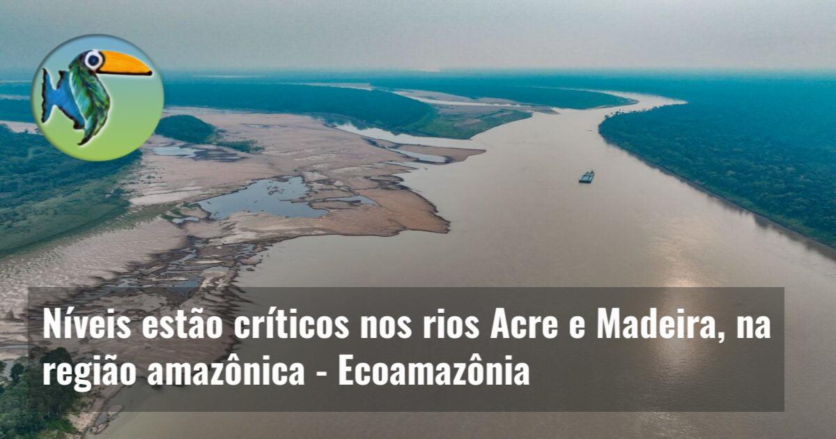 Níveis estão críticos nos rios Acre e Madeira, na região amazônica