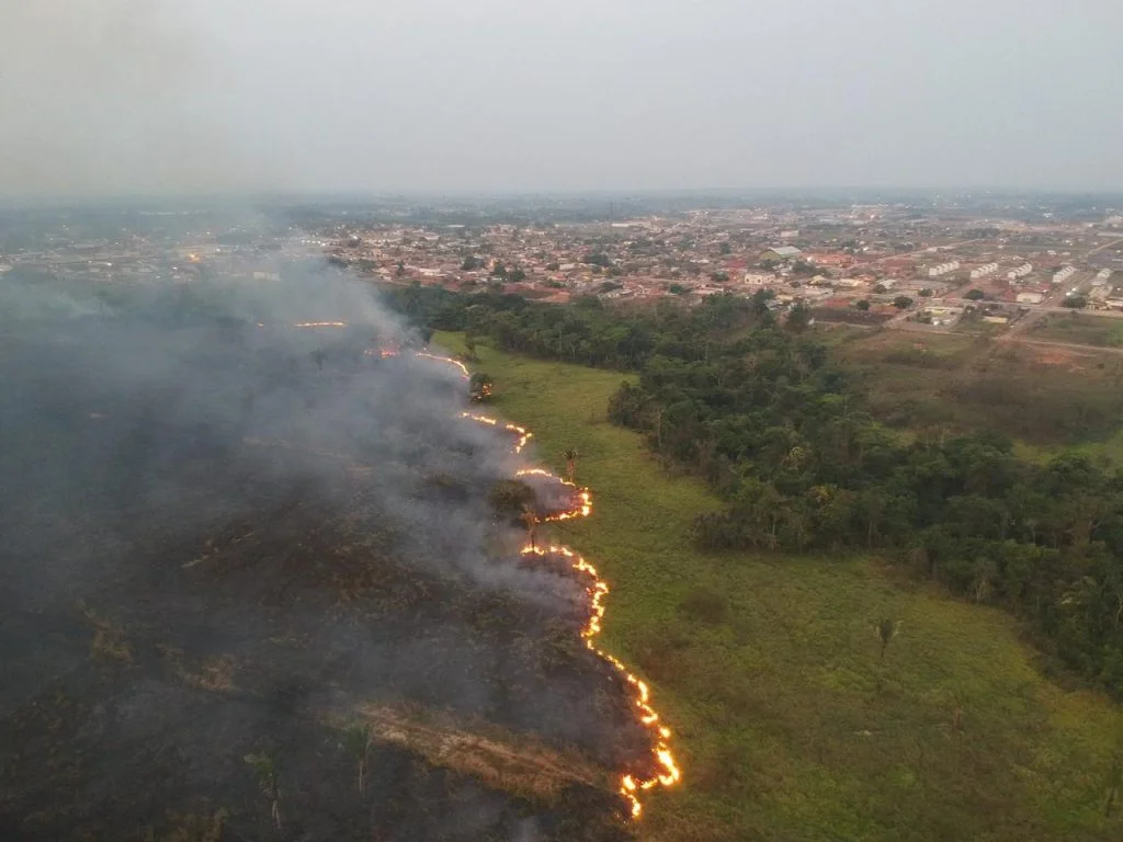 Amazônia em Chamas 20: “Tudo que vai queimar está pela frente