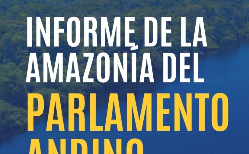 Parlamento Andino declara en emergencia la Amazonía